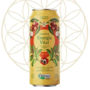 Chá Gaseificado Energia Vital Iamaní 355ml